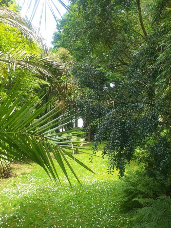 Locquenole Un Jardin En Pente Douce 빌라 외부 사진