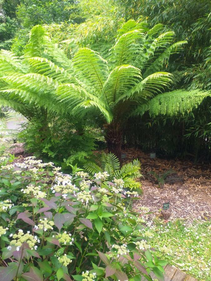 Locquenole Un Jardin En Pente Douce 빌라 외부 사진