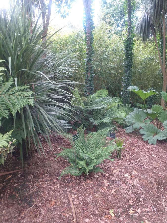 Locquenole Un Jardin En Pente Douce 빌라 외부 사진