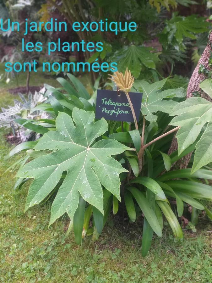 Locquenole Un Jardin En Pente Douce 빌라 외부 사진