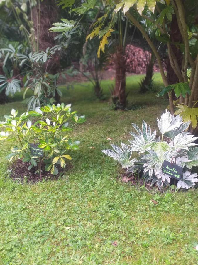 Locquenole Un Jardin En Pente Douce 빌라 외부 사진