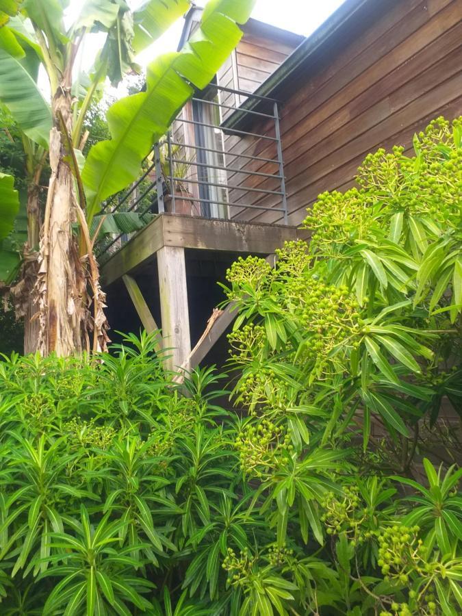 Locquenole Un Jardin En Pente Douce 빌라 외부 사진